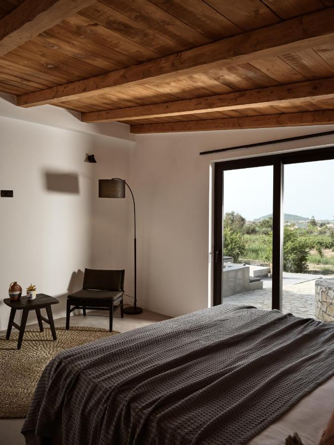 Yliessa - Luxury Pool Surrounded By Nature Villa Drakas